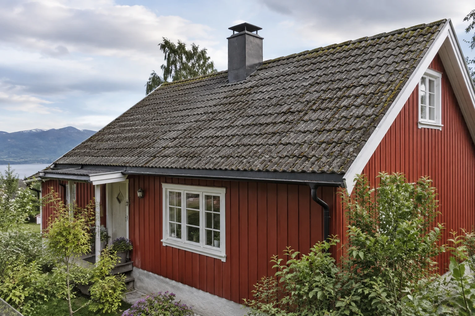 Intakt tak med lett begroing på et trehus.
